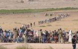 Qaçqın düşərgəsi bombalandı - Suriyada