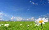 Havanın temperaturu 26 dərəcəyədək yüksələcək