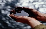 Neft ucuzlaşmaqda davam edir