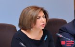 "Avropa Parlamentinin missiyasından öz maraqları üçün istifadə edənlər var, Lunaçek onların ən fəalıdır"