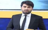 Zaur verilişini dayandırdı