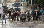 İrəvanda Tbilisi fəlakəti...