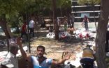 Türk kəşfiyyatı terror aktı barədə xəbərdar olub