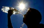 İsti hava 40 nəfərin ölümünə səbəb olub - Yaponiyada
