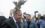 Prezidentin başına kəklik qondu