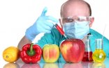 GMO məhsullar hansı xəstəliklərə səbəb olur?- AÇIQLAMA