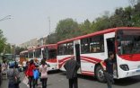 Hansı marşrut xətləri bərpa olunacaq?