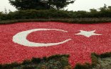 Türkiyə ordusunun kapitanı şəhid olub