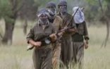 PKK terrorçuları Türkiyədə 316 uşaq qaçırıb