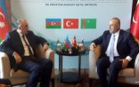 “Beynəlxalq qurumlar suriyalı erməni qaçqınların Azərbaycanın işğal olunmuş ərazilərinə yerləşdirilməsinə diqqət yetirməlidir