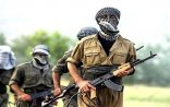 903 terrorçu təslim oldu – Türkiyədə