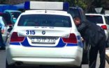 Rayon maşınlarına dair son xəbərdarlıq: 