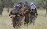 Polisə hücum edən 7 PKK-çı öldürüldü