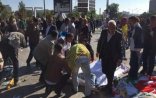 Canlı bombaların şəxsiyyəti müəyyən olundu - Son dəqiqə