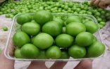 Bazarda fantastik qiymətlər - Alçanın kilosu 500 manata