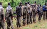 PKK-ya silah verən ölkələr