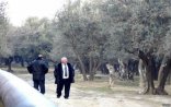 Akif Çovdarovun həbs müddəti artırıldı-Dörd ay 