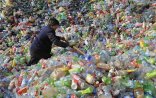 Yapon alimlərinin dünyanı heyrətə salan kəşfi.. Balistik kütlə yeyən bakteriyalar məhv olunacaq