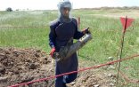 Cəbhə rayonlarında 6 ədəd partlamamış hərbi sursat tapılıb- FOTOLAR