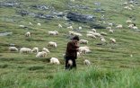 Azərbaycanla sərhəddə erməni çoban yoxa çıxıb