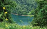  Nazirliyin əməkdaşları döyüldü-Göygöldə