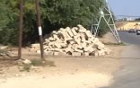 Bağı məhv edərək kafe tikmək istəyirlər - Bakıda (VİDEO)