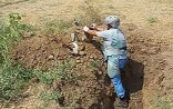 ANAMA 5 ayda 3 474 ədəd partlamamış hərbi sursat aşkarlayıb