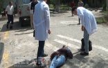 Salyanda 23 yaşlı oğlan küçədə qətlə yetirildi - FOTOLAR