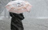 XƏBƏRDARLIQ-Hava kəskin dəyişəcək, temperatur 6 dərəcə enəcək