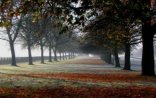 Temperatur azalacaq – Hava proqnozu