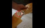 Azərbaycanda çörəyin içərisindən elə bir şey çıxdı ki... - VİDEO