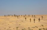 Kürdlər yardım istədi: Türkiyə İraqda əməliyyata başladı