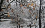Sabah Bakıya qar yağacaq – XƏBƏRDARLIQ