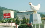 Azərbaycanı yumurta və toyuq əti ilə təchiz edən ermənilər-Oskayan və Bozacıyan 