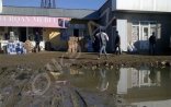  Çiçəklənən Cəlilabadın üfunət iyi verən küçələri - FOTOLAR