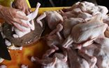 Azərbaycanda şok: Quş qripi olan ölkələrdən gətirilən ətlər satılır - Məmurlar hədəfdə