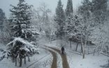 Xəbərdarlıq: Qar yağacaq-Hava yenidən soyuyur