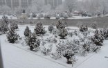 Naxçıvanda 20 dərəcə şaxta olacaq