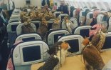 Şeyxlərin qartalları da təyyarələrdə uçur
