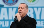 Erdoğan Avropa türklərini də 