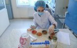 Azərbaycanda ən çox hansı xəstəliklər yayılıb?