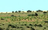 PYD Türkiyə sərhədində RUS BAYRAĞI SANCDI