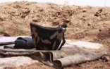 Ermənistan ordusunun daha bir əsgəri öldürüldü