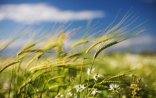 Havanın temperaturu aşağı enəcək – 4-7 dərəcə 