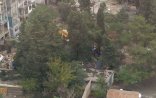 Bakıda növbəti “yaşıl soyqırım”: Ağaclar belə məhv edilir - VİDEO + FOTO