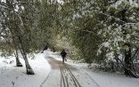 Sabaha gözlənilən hava proqnozu
