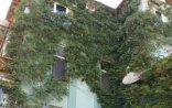 Sürüşmə zonasında villa satışa çıxarıldı - Qiyməti... + Fotolar