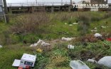 Biabırçılıq: Bayram günləri Pirşağı qəbiristanlığına gedən yolu zibilxanaya çevirdilər