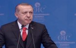 Ərdoğan ABŞ və Rusiya prezidentləri ilə apardığı danışıqların detallarını açıqlayıb