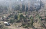 Xətaidə park salmaq adı ilə daha bir yaşıllıq məhv edildi
